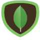 mongodb